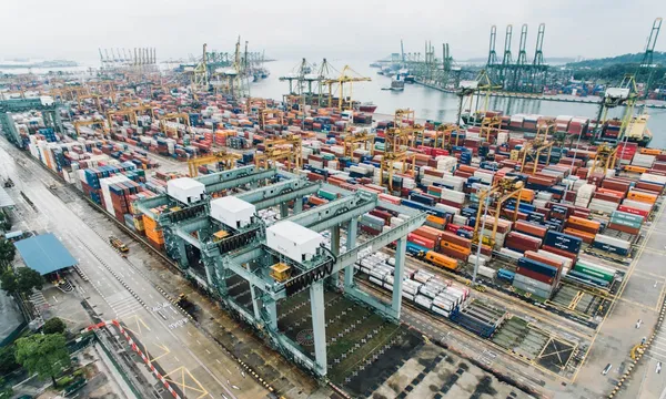 DDP Shipping Terms Explained: What Delivered Duty Paid Really Means