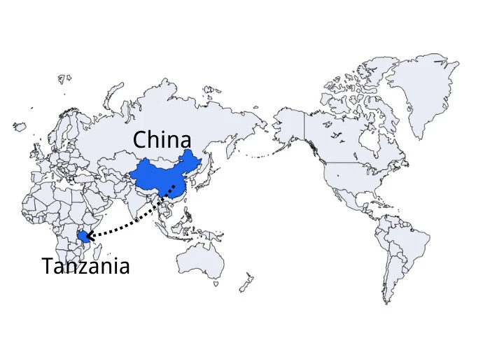 DDP Shipping from China to Tanzania